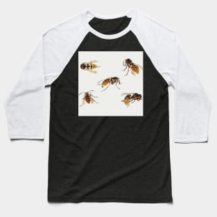 Studies of wasps by Julie de Graag (1877-1924). Baseball T-Shirt
